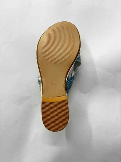 Daisy Blue Embellished Criss-Cross Flats